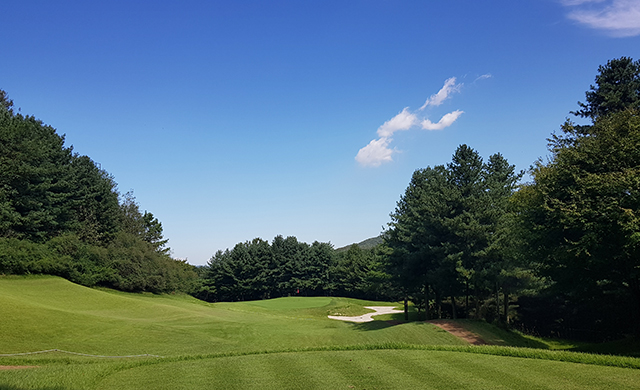 퍼블릭 코스 안내