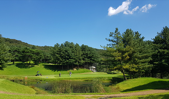 퍼블릭 코스 전경 2