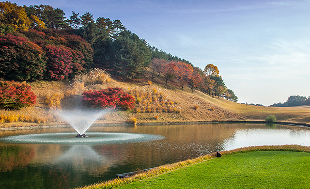 회원제 코스 안내