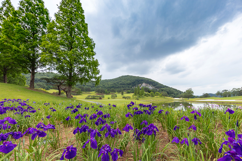지산 컨트리 클럽 전경 2