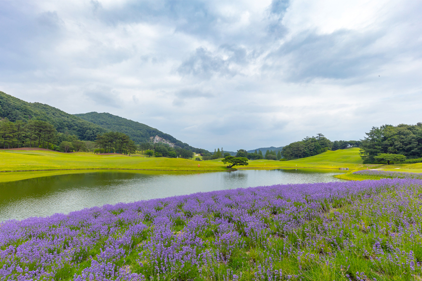 지산 컨트리 클럽 전경 4