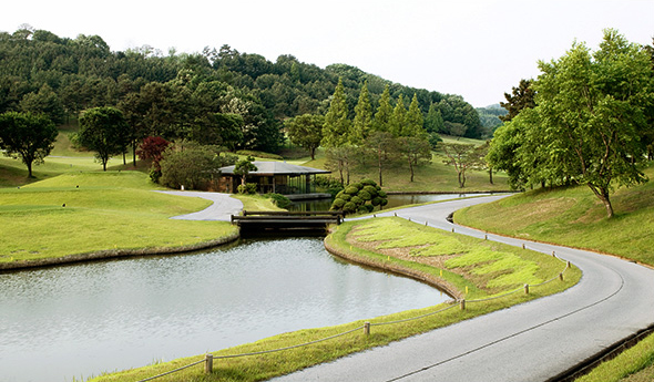 동코스의 녹색 정원