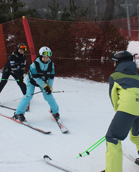 전문 강사진의 체계적 강습